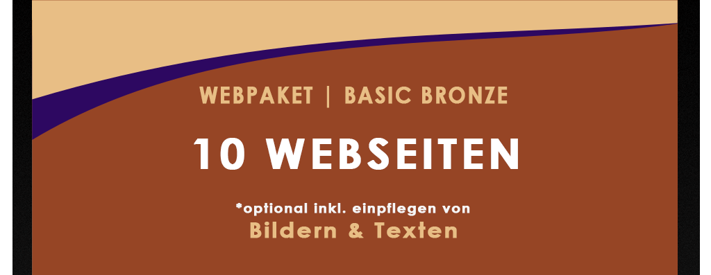 webseiten-guenstiger.de | webpaket basic bronze